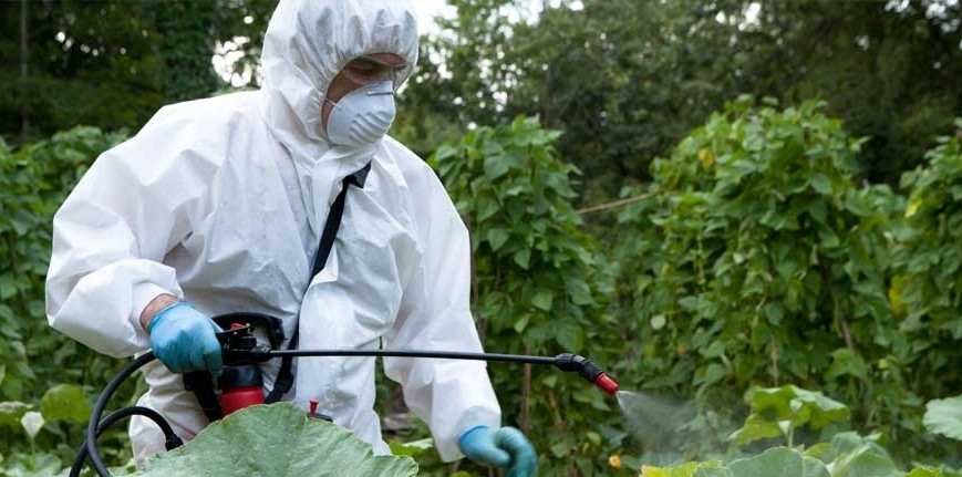Gestión Integral de Plagas